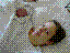 KIF_1192.JPG